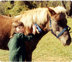 Traveling Horse Party