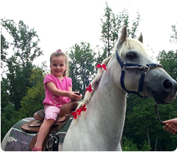 Traveling pony party